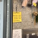 시나플라워