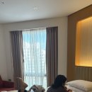 지코바덕소