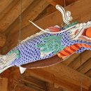 나무물고기 이미지