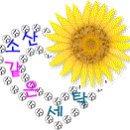 모자 보관법 이미지