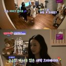 미디어라이프