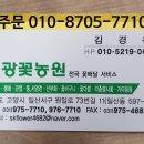 순광플라워