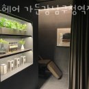준오헤어가든강남구청역점 네이버블로그