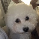 올가민박