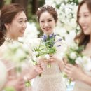 (주)파라다이스웨딩 이미지