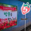 다산딸기수출 이미지