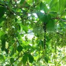 든든농장 이미지