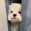 세븐일레븐 음성 오갑산휴게소점 | 뭐했다구 7월이래