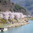 좌구산휴양랜드 이미지