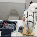 24시 창원2차동물의료원 이미지