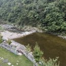 소금강행복펜션 이미지