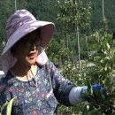 수향농장 이미지