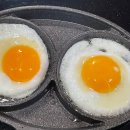 도일목장 | 9개월 증발 사건