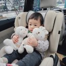 호돌이작은도서관 이미지