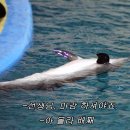 무교동낙지구의점 이미지