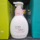 아이솝