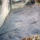 함안 용산리 함안층 새발자국화석 산지 이미지