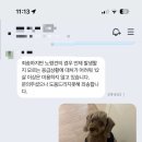 SM펫살롱 이미지