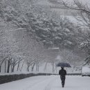 사계절사진관 중앙일보
