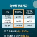 센트럴청과