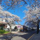 중문 골드빌라스 대가족숙소 펜션 이미지