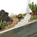 세상을위로하는 따뜻한 힘 힐링원예 이미지