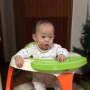 타고놀아요 이미지