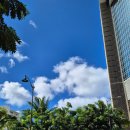 낙원자동차써비스 | [하와이 신혼여행] 5일차, 이야스메 무스비카페, 알라모아나 쇼핑센터, 더 시그니처 프라임 스테이크...