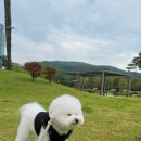 솔티위티 이미지