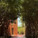 부영5단지(8차)A | 유명한데는 다 이유가 있다! 수영장 하나 보고 왔는데 모든게 만족 스러웠던 제주 서귀포 부영호텔