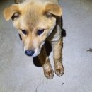 쌍백면사무소 이미지