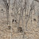 일오삼건축사사무소 이미지