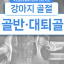 인제메디컬센터 이미지