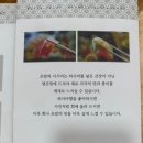 교야스시삼계 이미지