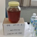 청운오리 이미지
