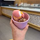 콜세탁 | [👶🏻👶🏻-10] 자연 일란둥이 31-32주차 119안심콜 등록, 임신후기 영양제, 출산준비, 대학병원 32주 외래...