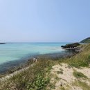 제주 힐링하우스 이미지