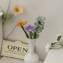 (원데이)히아시스 플라워 캔들 이미지