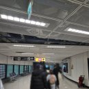 405 | 티웨이 유럽 노선 인천-로마 TW405 탑승 후기