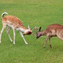 엘정신건강의학과의원 이미지