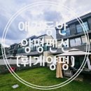 금덕 1 | 만족스러운 애견동반 양평펜션 솔직후기 [휘게양평]