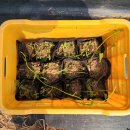 알파행정사사무소 이미지