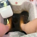 더힐링카페 | 내손동테라피 다낭 갈산동힐링카페 족욕 원적외선 힐링한 의왕시힐링카페 후기