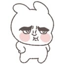 양코치 애견카페 이미지