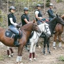 스티븐스포츠아카데미센터 이미지