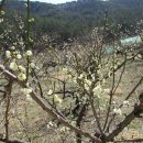 동그라미유치원 놀이터 이미지