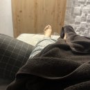 선율당한의원 | 즉각적인 효과를 경험한 순천 피부관리 MK뷰티 방문후기 / 순천 윤곽관리 웨딩관리 비대칭관리 탄력관리...