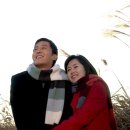 흐르는 강물처럼 - 안산시 상록구 | 흐르는 강물처럼