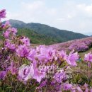 허브밸리(원형광장) 연합뉴스