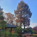 금산관광농원 이미지